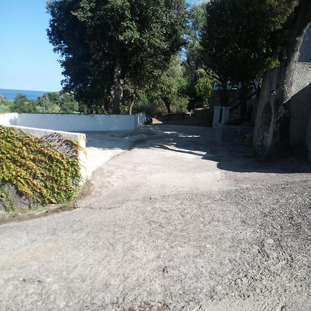Cap Corse Une Villa Dans Un Nid De Verdure San-Martino-di-Lota Exterior foto