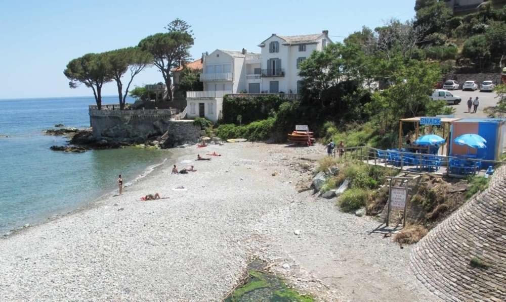 Cap Corse Une Villa Dans Un Nid De Verdure San-Martino-di-Lota Exterior foto
