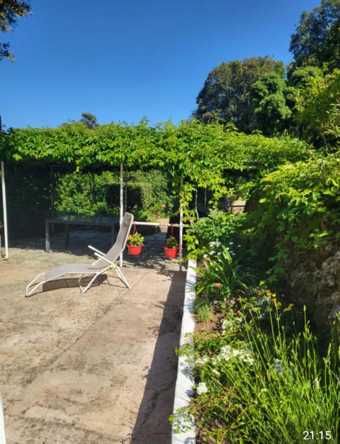 Cap Corse Une Villa Dans Un Nid De Verdure San-Martino-di-Lota Exterior foto