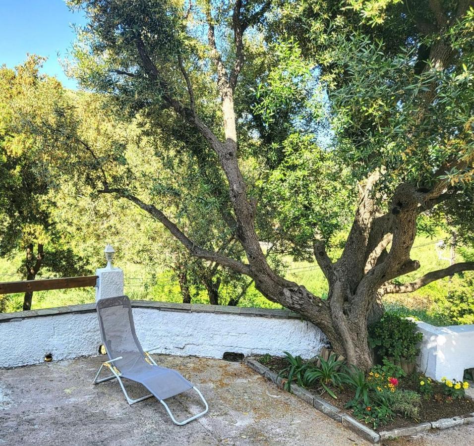 Cap Corse Une Villa Dans Un Nid De Verdure San-Martino-di-Lota Exterior foto
