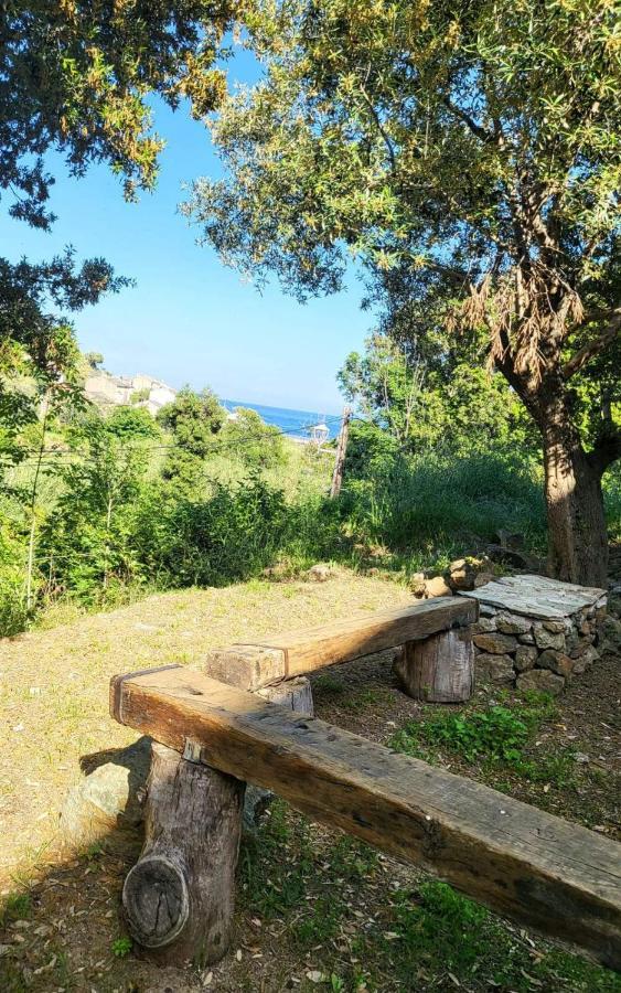 Cap Corse Une Villa Dans Un Nid De Verdure San-Martino-di-Lota Exterior foto